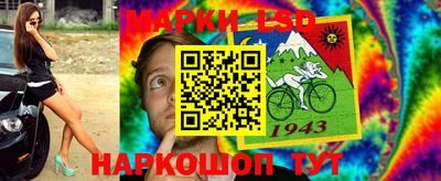 прущие крисы Камышлов