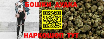 прущие крисы Камышлов