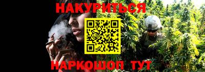 прущие крисы Камышлов