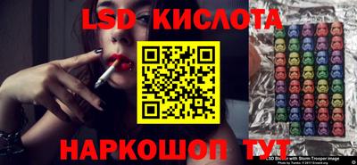 гашик Кандалакша