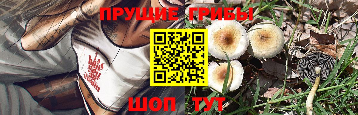 Галлюциногенные грибы ЛСД Каменск-Уральский